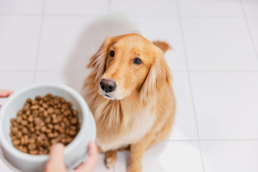 Infographic by Zeke explaining the AAFCO 95% rule for dog food naming and protein content.