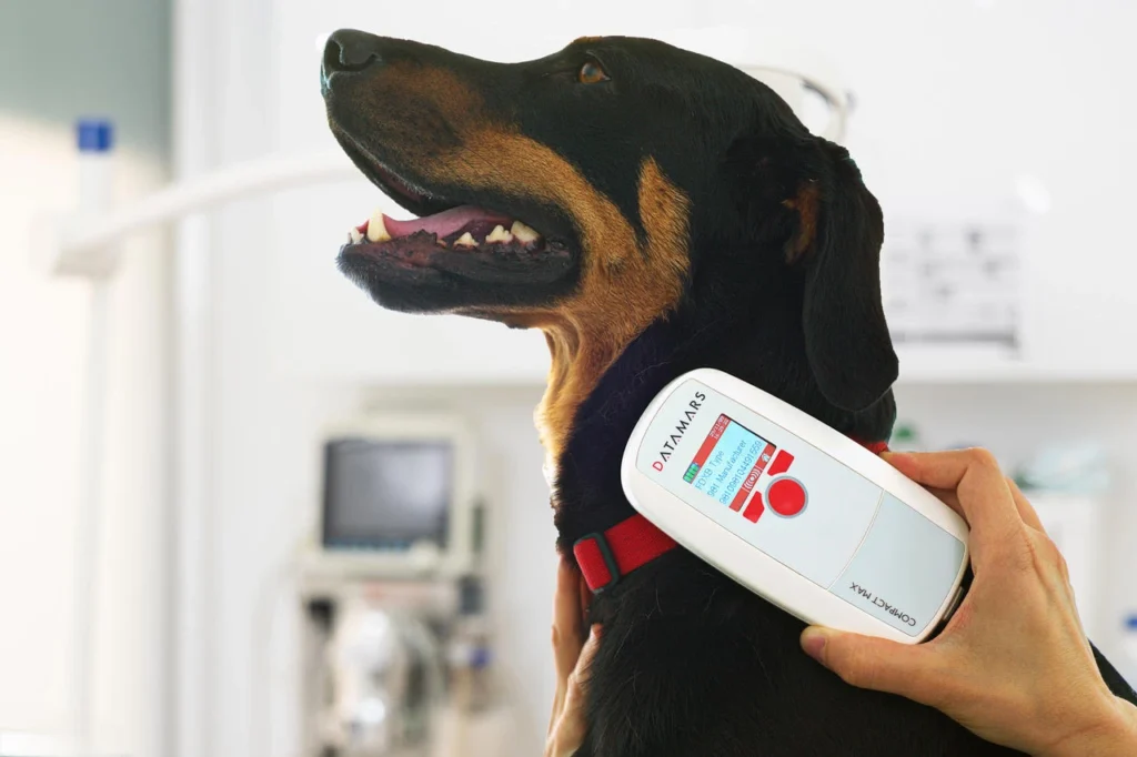 A screenshot of a 2026 dog health app interface showing a behavioral fingerprinting chart that distinguishes between play, pacing, and rest.
