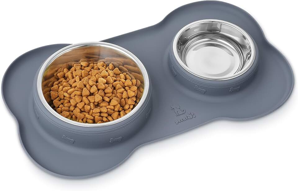 Technical STYPETS blueprint comparing a plastic dog bowl leaching endocrine disruptors vs. a safe stainless steel bowl. The diagnostic schematic highlights micro-scratches and biofilm hazards in the plastic material. safe dog food bowls no plastic