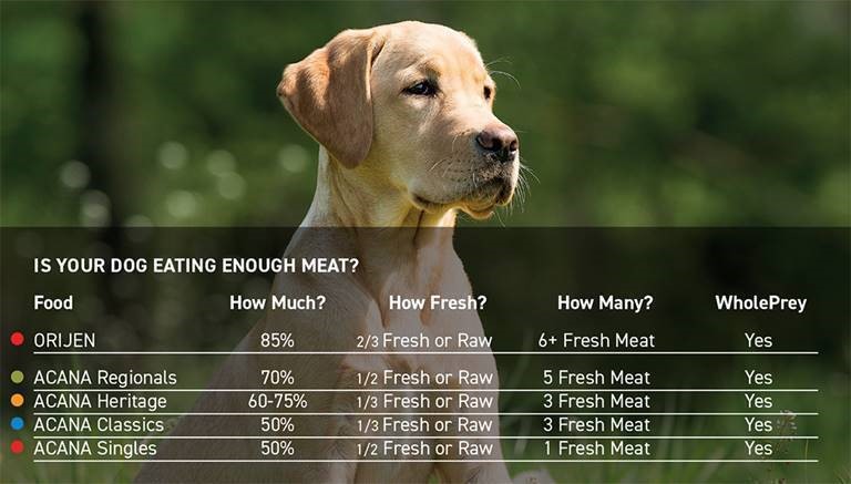 A STYPETS technical blueprint diagram calculating how much protein does my dog need, contrasting the core AAFCO dry matter baseline percentages against the customized life stage targets for puppies, adults, and seniors.
