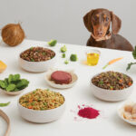 Educational pyramid infographic by Zeke illustrating the biological value of different dog food proteins, ranking whole eggs and organ meats at the top for muscle synthesis and plant fillers at the base for metabolic waste.