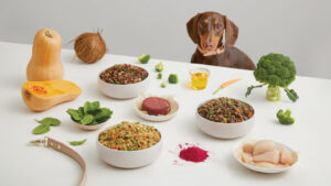 Educational pyramid infographic by Zeke illustrating the biological value of different dog food proteins, ranking whole eggs and organ meats at the top for muscle synthesis and plant fillers at the base for metabolic waste.