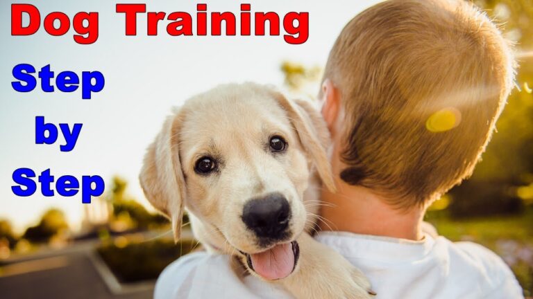 STYPETS Technical Blueprint for Proofing Dog Training Commands: A 2-panel infographic detailing the '3Ds of Proofing' (Distance, Duration, and Distraction) and the 6-phase systematic training workflow on an engineering grid background.