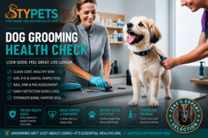 A technical STYPETS medical diagram for a dog grooming health check, comparing a healthy canine ear canal against the specific visual and olfactory signs of yeast overgrowth and bacterial infections.