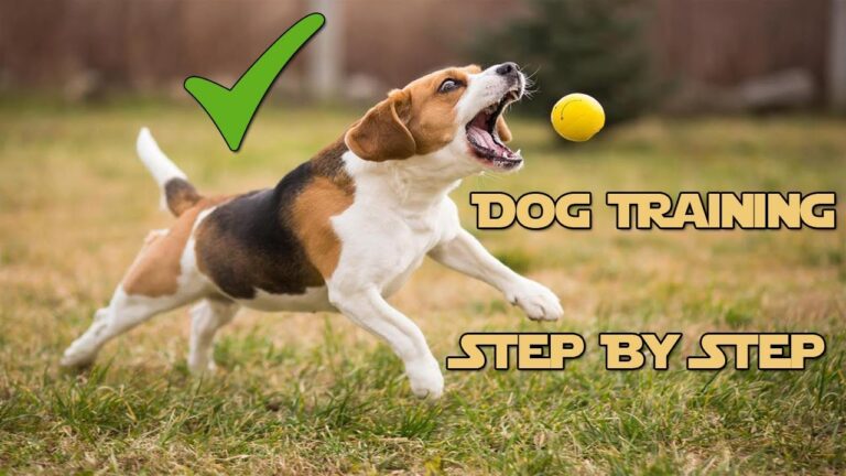 A technical STYPETS behavioral engineering infographic illustrating a dog training extinction burst timeline. The line graph uses an orange and teal layout to chart a dog's behavioral response over time when a reward is removed, highlighting the initial stable baseline, the steep extinction burst peak of intense frustration, spontaneous recovery check-ins, and final behavioral extinction. Verified by Zeke. Dog Training Extinction Burst